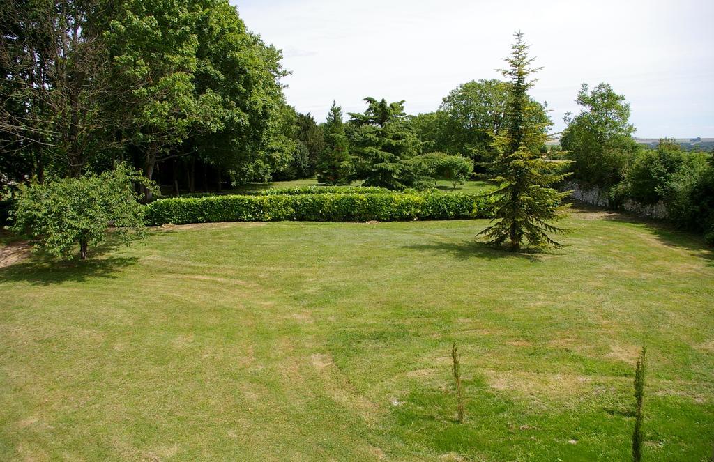 Villa L'Olivier Monts-sur-Guesnes Exterior foto