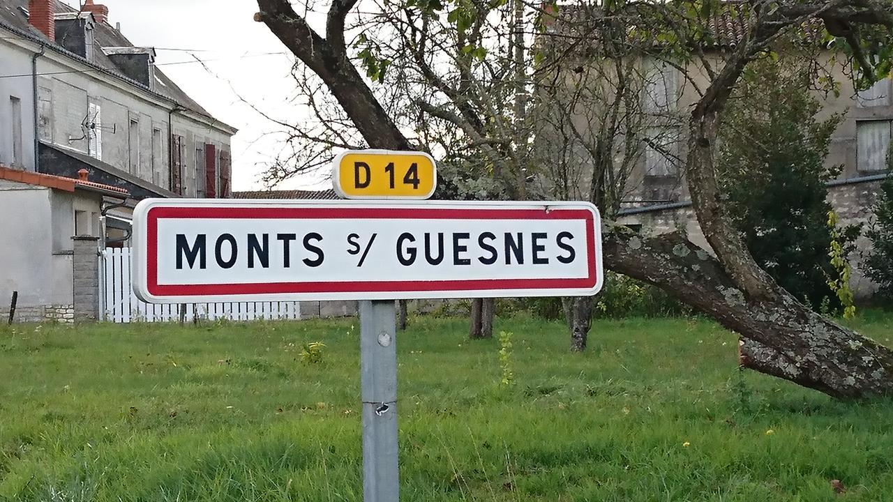 Villa L'Olivier Monts-sur-Guesnes Exterior foto