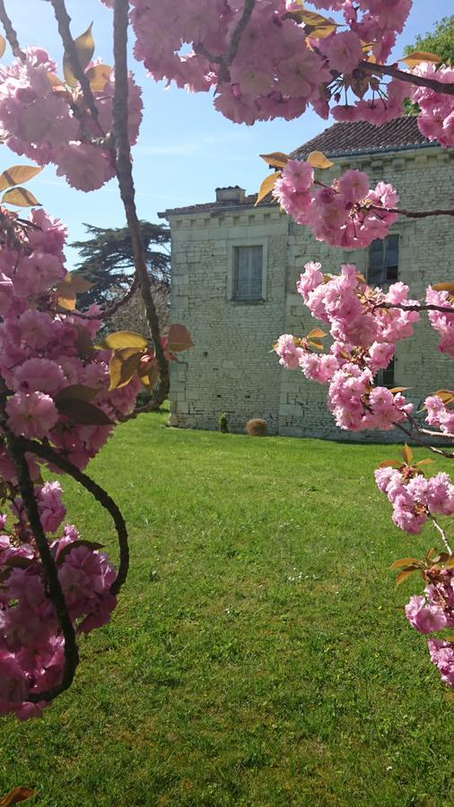 Villa L'Olivier Monts-sur-Guesnes Exterior foto