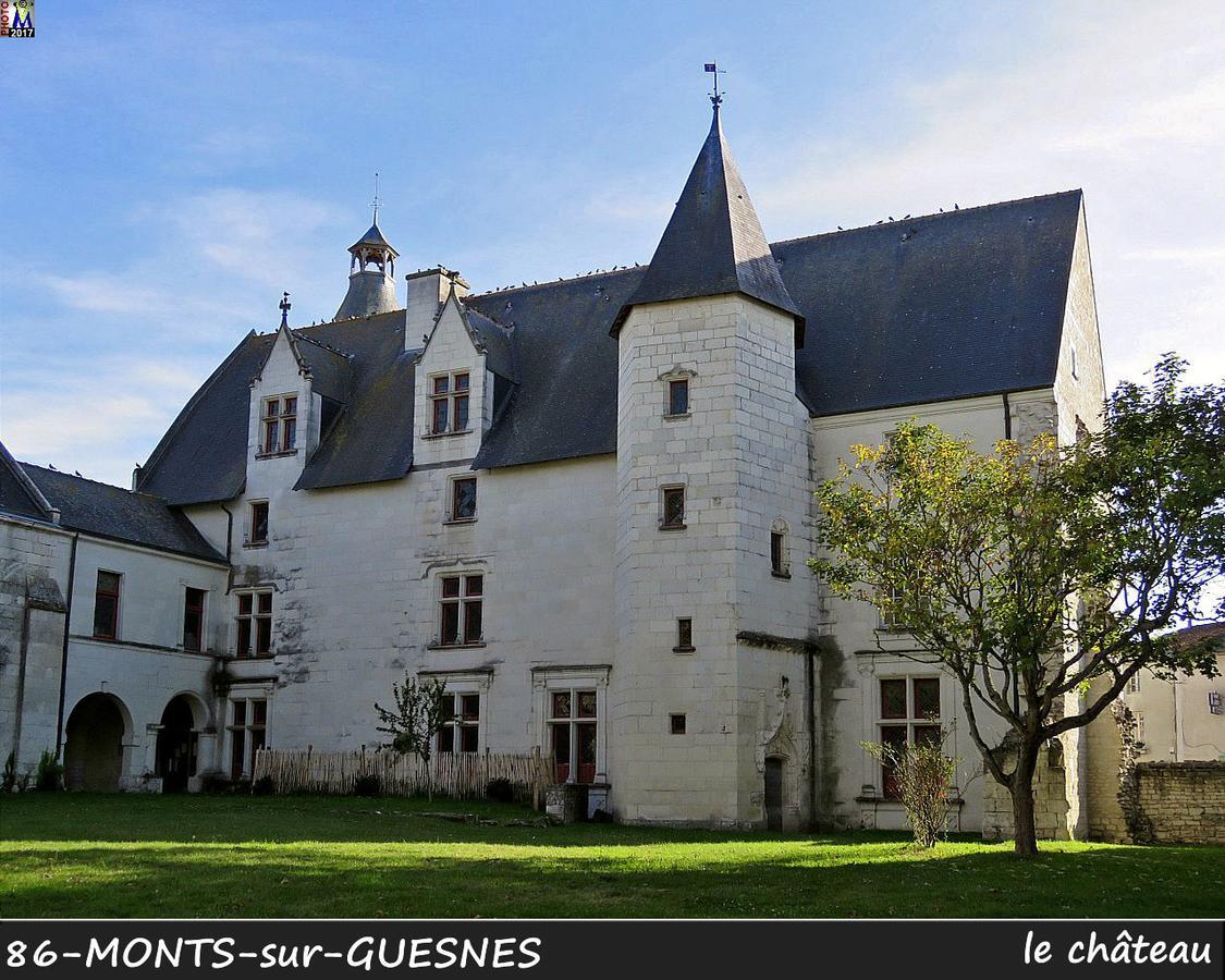 Villa L'Olivier Monts-sur-Guesnes Exterior foto