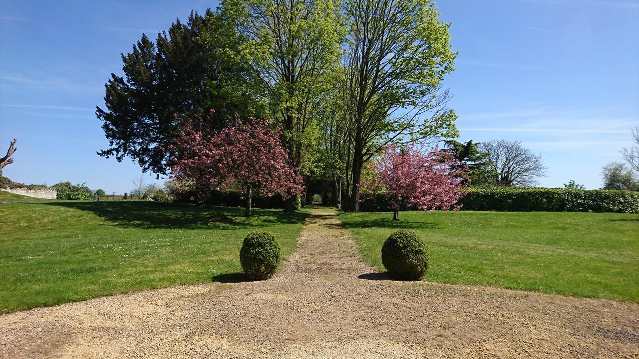 Villa L'Olivier Monts-sur-Guesnes Exterior foto